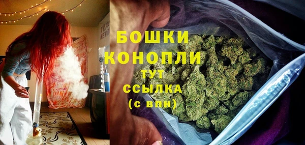 твердый Володарск