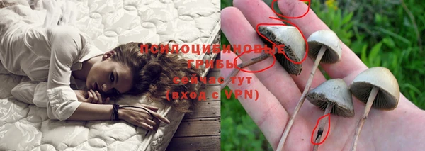 спиды Переславль-Залесский