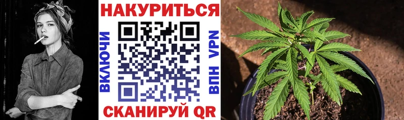блэк спрут   где купить наркоту  Тетюши  сайты даркнета клад  Бошки Шишки семена 